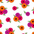 Seamless pattern with colorful gerbera flowers. Vector illustration. Royalty Free Stock Photo