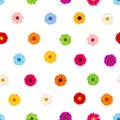 Seamless pattern with colorful gerbera flowers. Vector illustration. Royalty Free Stock Photo