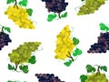 Seamless pattern with colorful grapes isolated on a white background. Royalty Free Stock Photo