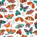 Seamless pattern with colorful hand drawn butterflies and moths on white background. Stylized flying insects with flowers Royalty Free Stock Photo