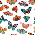 Seamless pattern with colorful hand drawn butterflies and moths on white background. Stylized flying insects, vector Royalty Free Stock Photo