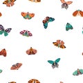 Seamless pattern with colorful hand drawn butterflies and moths on white background. Stylized flying insects, vector Royalty Free Stock Photo