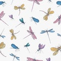 Seamless pattern with colorful hand drawn dragonflies on white background. Backdrop with elegant flying insects. Vector Royalty Free Stock Photo