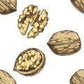 Seamless pattern with hand drawn walnut nuts