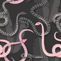 Seamless pattern with colorful intertwined striped rain forest snakes