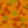 Seamless pattern of colorful maple leaves