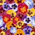 Seamless pattern with colorful pansy flowers. Royalty Free Stock Photo