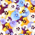 Seamless pattern with colorful pansy flowers. Vector illustration. Royalty Free Stock Photo