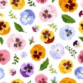 Seamless pattern with colorful pansy flowers. Vector illustration. Royalty Free Stock Photo