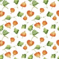 Seamless pattern with colorful physalis.
