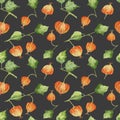 Seamless pattern with colorful physalis.