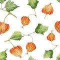 Seamless pattern with colorful physalis.