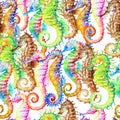 Seamless pattern of colorful seahorses, background. Hand drawn watercolor Royalty Free Stock Photo