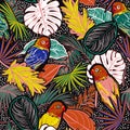 Seamless pattern of colorful Tropical  forest with leaves , parrots, palm leaves, polka dots, birds and floral Royalty Free Stock Photo