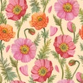 Seamless pattern with colorful watercolor poppies. Royalty Free Stock Photo