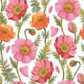 Seamless pattern with colorful watercolor poppies. Royalty Free Stock Photo