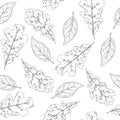 Seamless Pattern for Coloring with Autumn Leaves Royalty Free Stock Photo