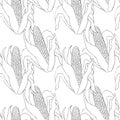 Seamless pattern coloring Corn in the cob with leaves Vector