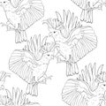 Seamless pattern coloring exotic cockatoo parrot Inca. vector i