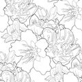 Seamless pattern coloring flower of the almond blossoms a nut v