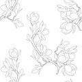 Seamless pattern coloring magnolia flower vector illustration Royalty Free Stock Photo