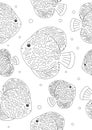 Seamless pattern or coloring page with discus fish for adults, outline vector stock illustration with wild life in the sea or Royalty Free Stock Photo