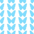 Seamless pattern. Colourful butterfly on white background Royalty Free Stock Photo