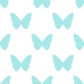 Seamless pattern. Colourful butterfly on white background Royalty Free Stock Photo