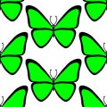Seamless pattern. Colourful utterfly on white background Royalty Free Stock Photo