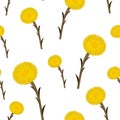 Seamless pattern coltsfoot flowers