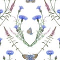 Seamless pattern common blue butterflies and meadow cornflowers