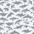 Seamless pattern with Common bottlenose dolphin on a blue background. Dolphins Tursiops truncatus in different poses. Realistic ve Royalty Free Stock Photo