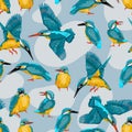 Seamless pattern with common kingfisher Alcedo atthis birds.