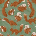 Seamless pattern with common squirrels Sciurus vulgaris. A Eurasian red squirrel. Royalty Free Stock Photo