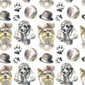 Pattern - companion dog Royalty Free Stock Photo