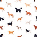 Seamless pattern with companion dogs of different breeds on white background. Backdrop with funny purebred pet animals