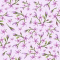 Seamless pattern composed of sketches of blooming plumeria twigs