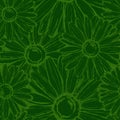 Seamless pattern field chamomiles in green tones Royalty Free Stock Photo
