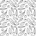 Seamless pattern contour leaves and small berries of the mountain ash isolated on white background, black outline in doodle sketch Royalty Free Stock Photo