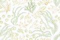 Seamless pattern with contoured seaweeds on white background. Vintage repeatable texture with different edible sea algae