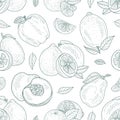 Seamless pattern of contours of apples, lemons, pears and peaches. Vector illustration.