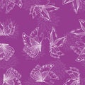 Seamless pattern of contours decorative flying butterflies and silhouettes chrysanthemum flowers