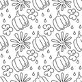 Seamless pattern. The contours of the pumpkin and flowers. The autumn theme. Vector background