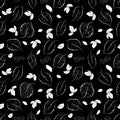Seamless pattern. Contrasting black and white vintage vector illustration. The contours of the leaves on a black background. Royalty Free Stock Photo