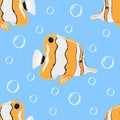 Seamless pattern with Copperband butterflyfish or Chelmon rostratus. Modern print for fabric, textiles, wrapping paper