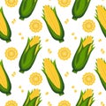 Seamless pattern, corn on the cob with leaves and corn kernels. Agriculture concept. Background, print, textile Royalty Free Stock Photo