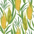 Seamless pattern with corn. Cobs, blossom branch and leaf. Royalty Free Stock Photo