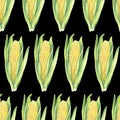 Seamless Pattern of corn cobs with leaves on black background. Eco vegetables plants. FShop design, healthy lifestyle Royalty Free Stock Photo