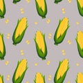 Seamless pattern, corn cobs with leaves and corn kernels. Agriculture concept. Background, print, textile Royalty Free Stock Photo