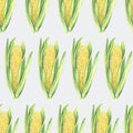 Seamless Pattern of corn cobs with leaves on gray background. Eco vegetables plants. FShop design, healthy lifestyle Royalty Free Stock Photo